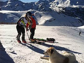 Alpine Ski Training in Chile
