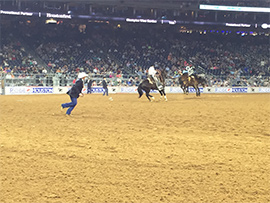 Houston Rodeo