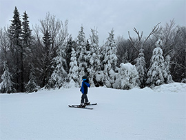 Jackson Skiing