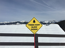 Ski Warning